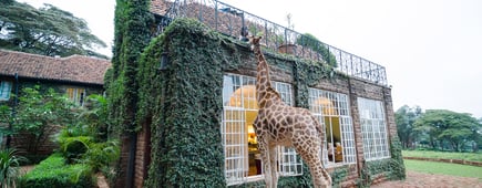 Giraffe Manor, Nairobi, Kenya